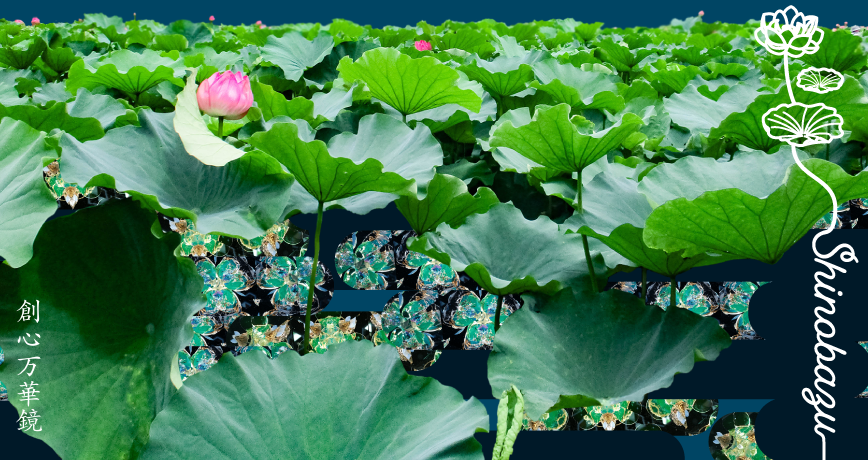 上野公園の不忍（しのばず）池の蓮の花と葉からインスパイアされた作品